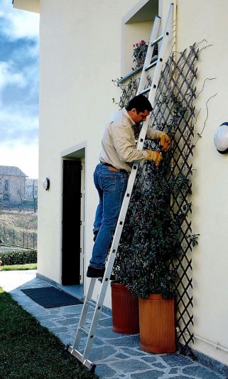 Frigerio scala professionale dritta a pioli SCA 680N/07