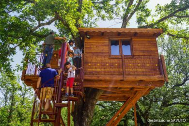 Casa sull’albero: un sogno realizzabile!